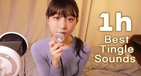 ASMR✨1小时最佳Tingles?1小时收集Tingles，在家中的Tingles回来了！ [Pyo Eunji ASMR]