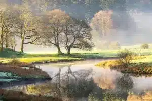 美丽自然河流 树林 倒映 雾 森林风景4k壁纸 4k手机壁纸